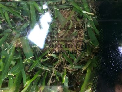 IMG_5665 Rover 75/ MG ZT - Vidro Porta Vidros Portas