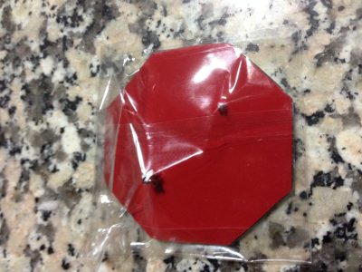 IMG_6421 MG TF - Símbolo Símbolos Logótipo Logótipos Parachoques & Mala