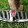 Rover 25 - Grelha Parachoques Mk2
