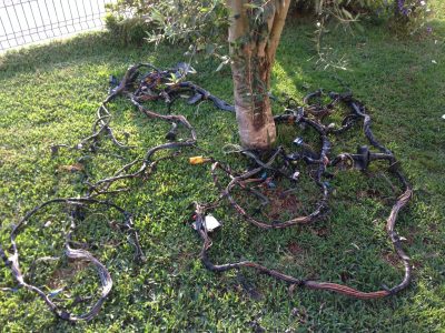 IMG_7514 Rover 75/MG ZT - Cablagem Completa Carro/Carrinha