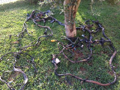 IMG_7515 Rover 75/MG ZT - Cablagem Completa Carro/Carrinha