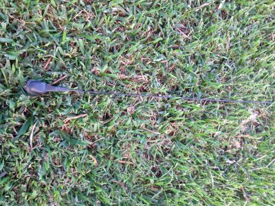 IMG_8078 Rover 25/45/MG ZR ZS - Antena Rádio