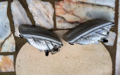 Rover 75 - Pisca Piscas Parachoques Mk1 & Mk2