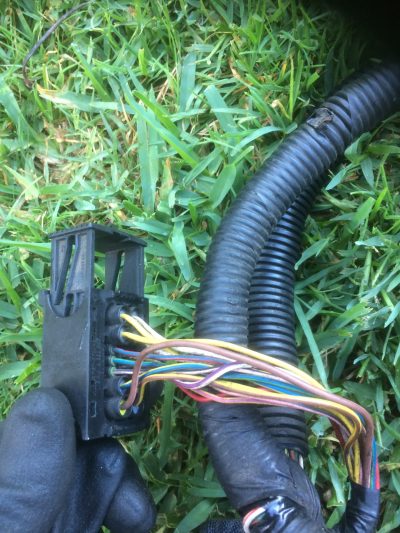 Rover 25/45/75 MG ZR/ZS/ZT - Cablagem Motor Gasolina