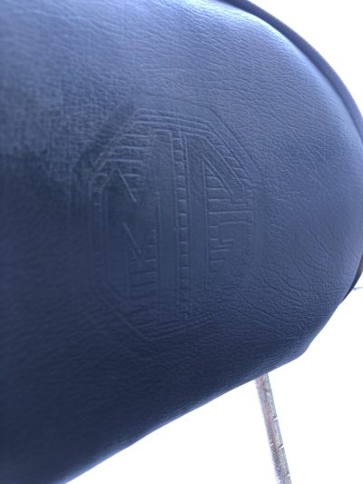 IMG_9357 MG F - Bancos Pele